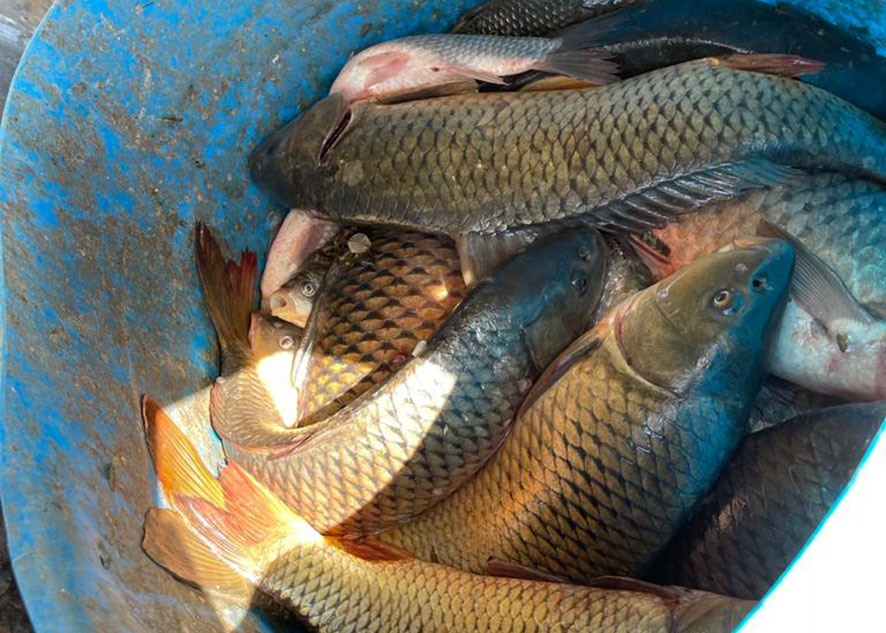 Лодку, рыбу и сети изъяли у донских браконьеров