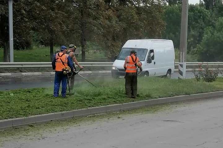 В Таганроге запланирован покос травы на 10 улицах