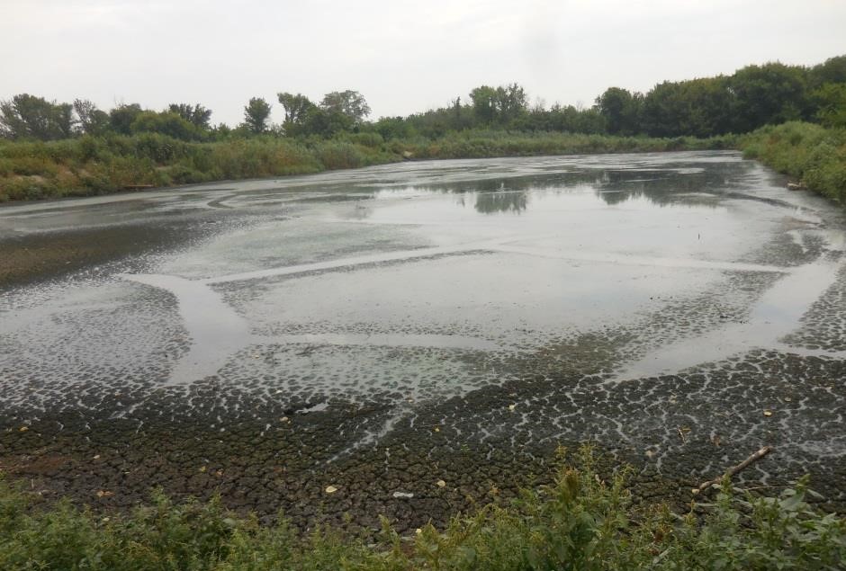 На Дону обнаружили загрязненную вредными веществами реку