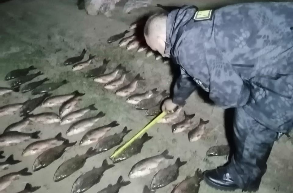 В акватории Донского канала задержали браконьера