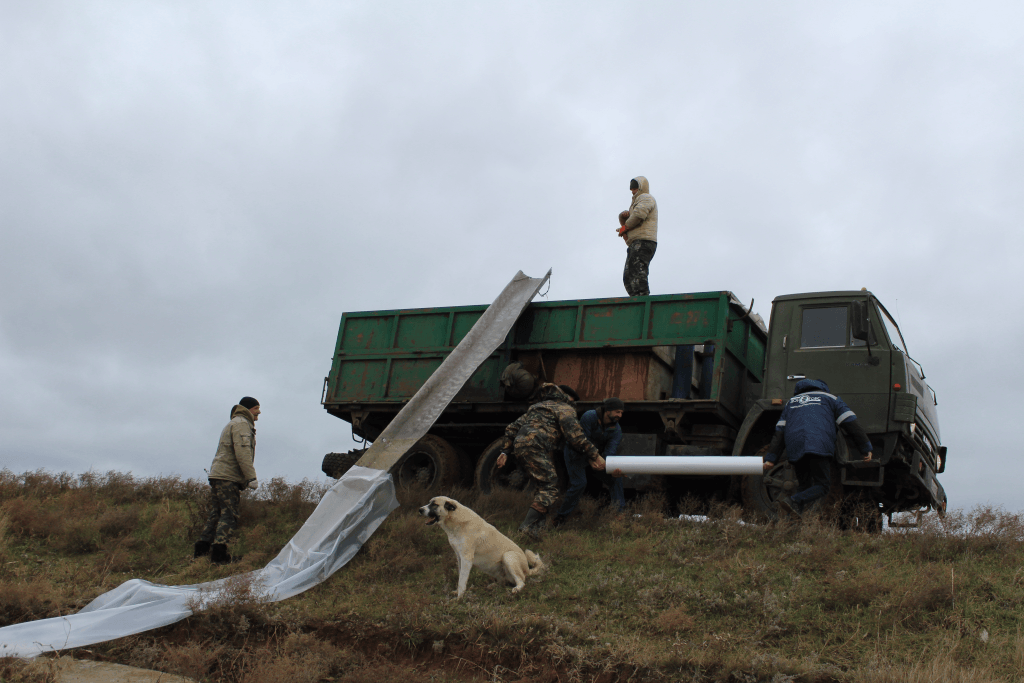 В Ростовской области в пруд выпустили 2 тонны мальков