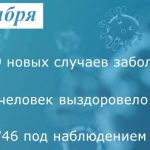 Коронавирус: в Таганроге заболели 29 человек