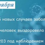 Коронавирус: в Таганроге заболели 35 человек