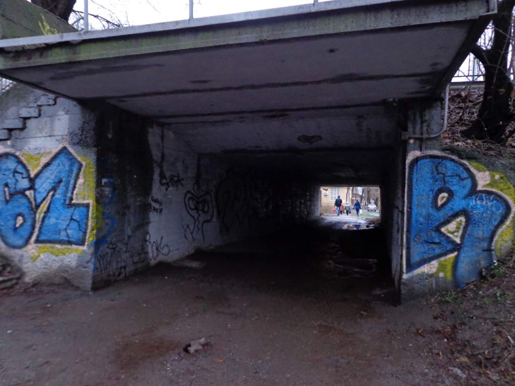 Житель Таганрога сравнил тоннель под мостом с трущобами Бронкса