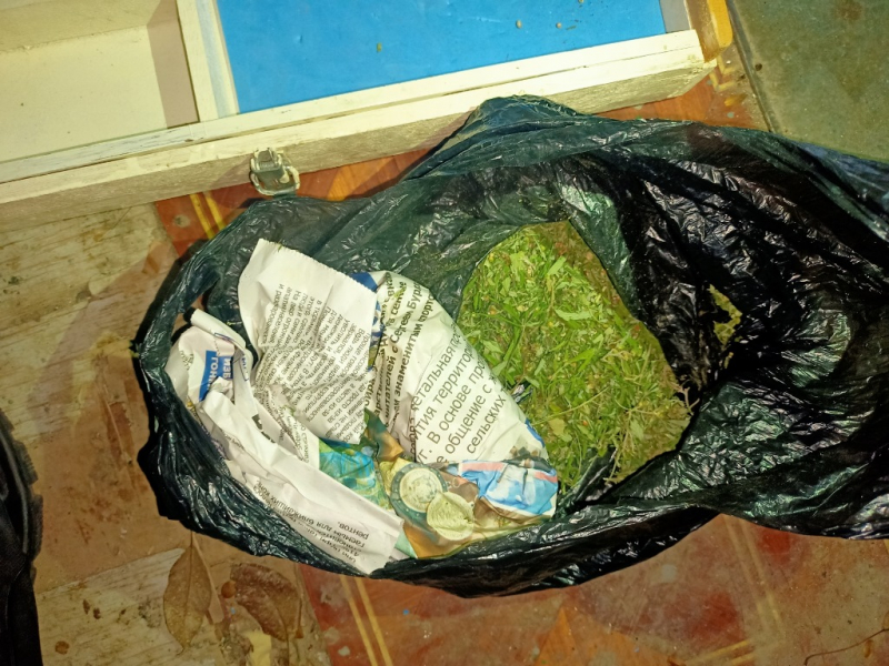 Житель Таганрога хранил дома крупную партию марихуаны