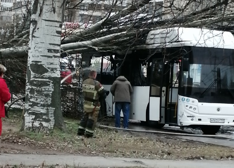 Упало дерево: в Таганроге загорелся автобус