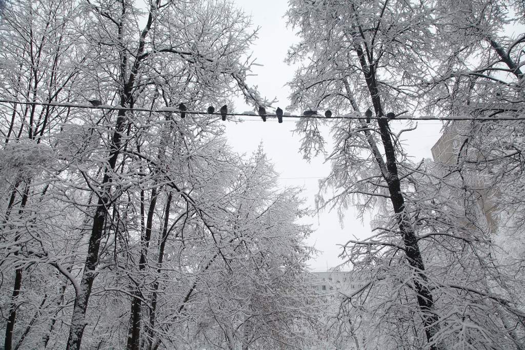 В Ростовской области ожидается снегопад