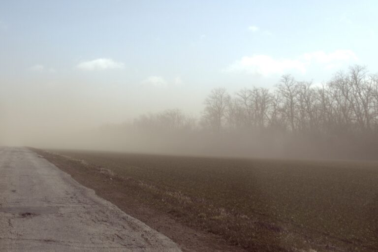 На Ростовскую область надвигается пыльная буря