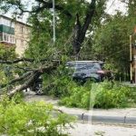 В Таганроге устраняют последствия ураганного ветра