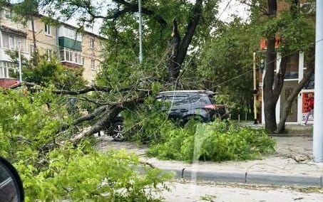В Таганроге устраняют последствия ураганного ветра