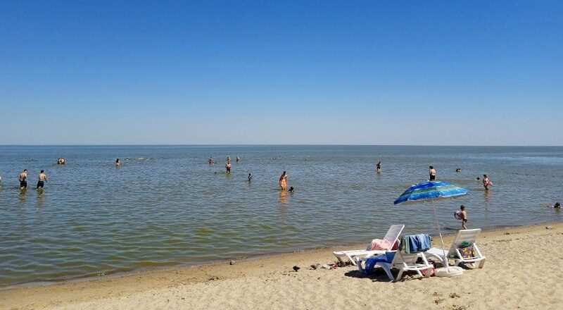 Микробное загрязнение: в Таганрогском заливе не рекомендуют купаться