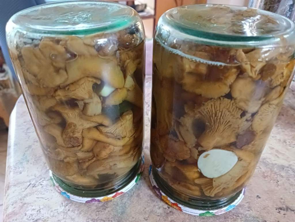 По банкам: готовим маринованные грибы