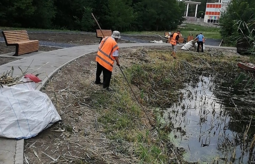 В таганрогской роще «Дубки» чистят водоемы