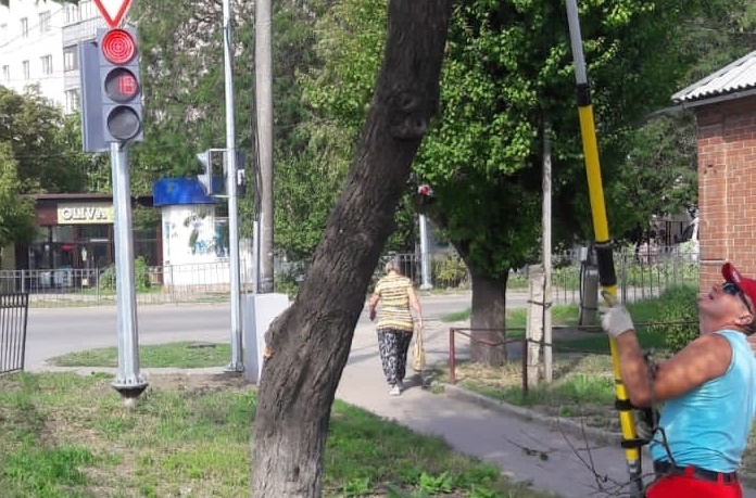 В Таганроге провели обрезку деревьев на трех улицах