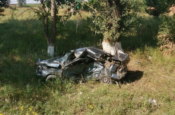 Машина слетела в кювет: на донской трассе погиб водитель