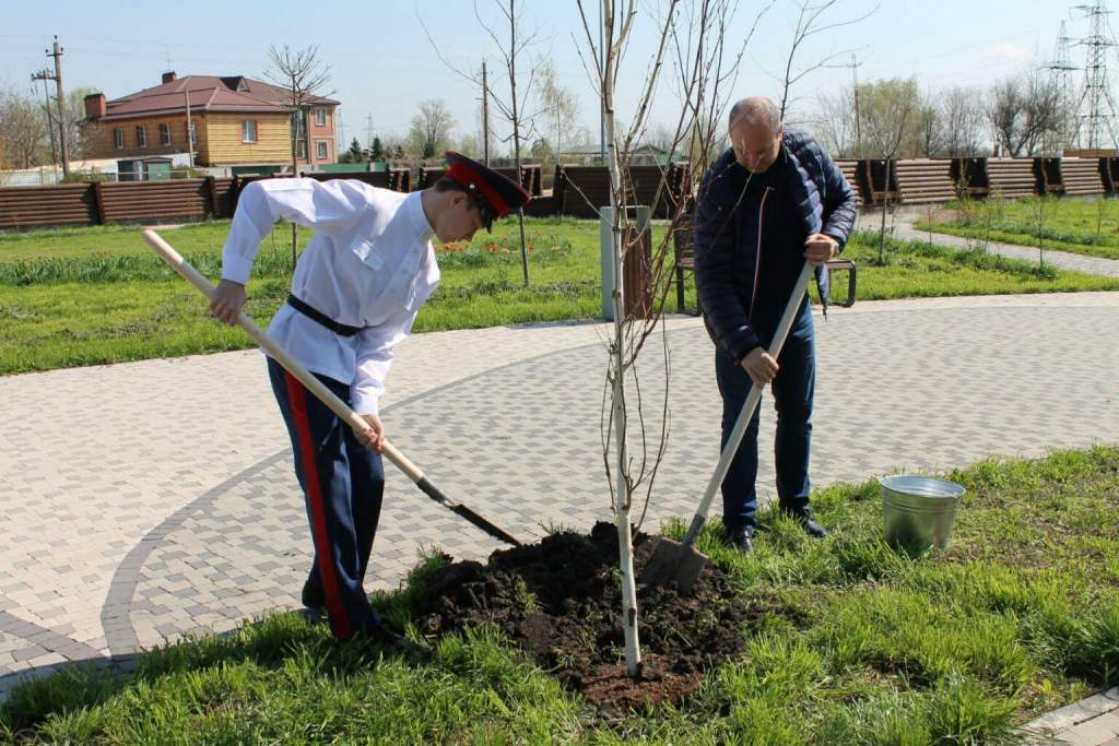 Ростовская область присоединится к акции «Сохраним лес»