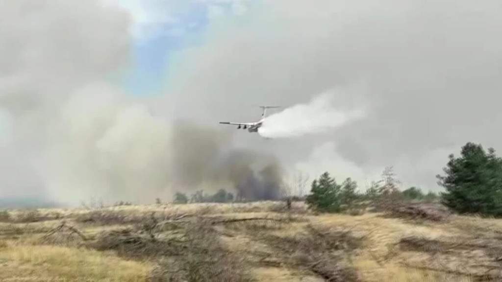 Горят 10 гектаров: на Дону тушат крупный лесной пожар
