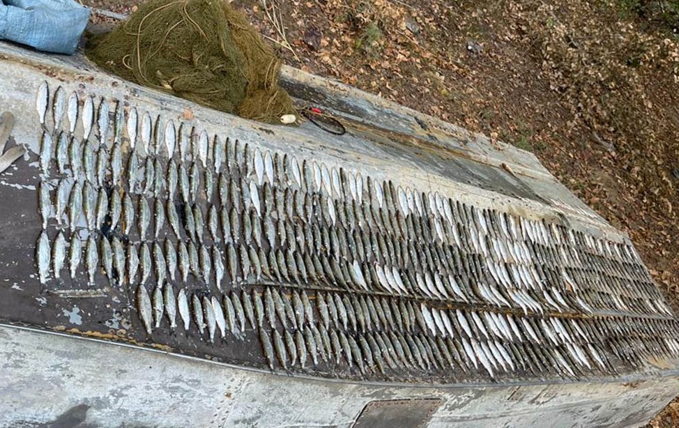 Донской безработный ловил рыбу 70-метровой сетью