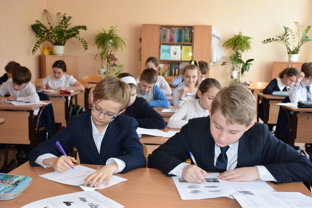 Школьники Таганрога напишут проверочные работы