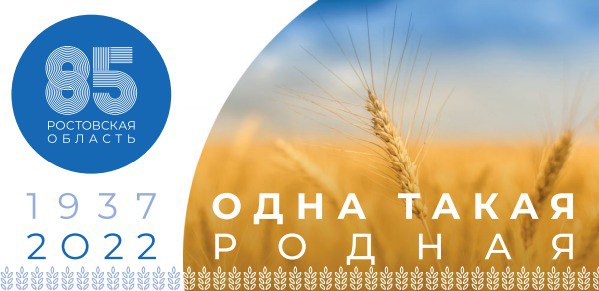 Губернатор поздравил дончан с Днем рождения Ростовской области