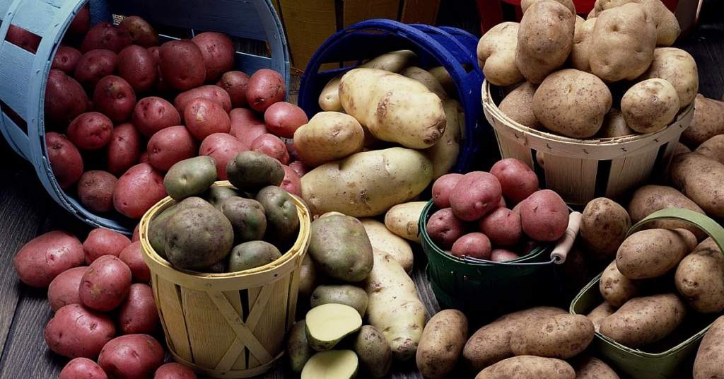 В Россельхозцентре рассказали, как правильно выбирать картофель