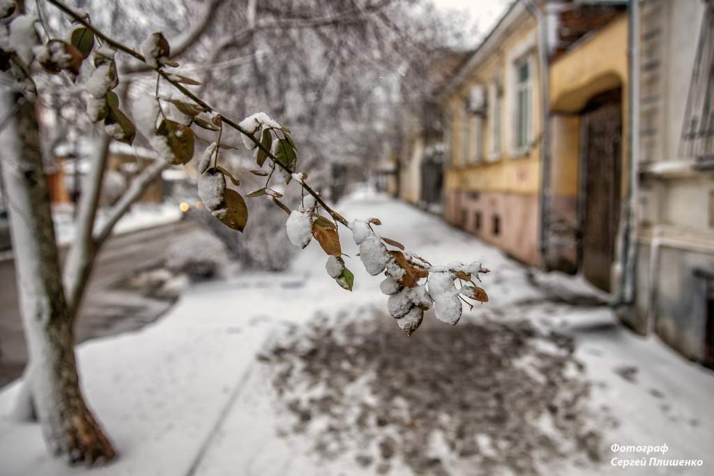 Погода в Таганроге 16 февраля: легкий мороз и небольшой снег