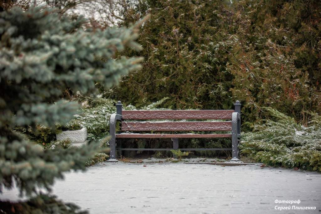 Погода в Таганроге 6 февраля: возможен снег с дождем