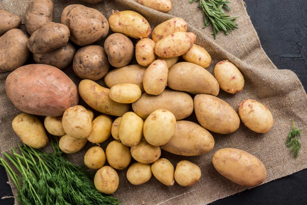 В Ростовскую область поставлено 1288 тонн картофеля  из Ставрополья