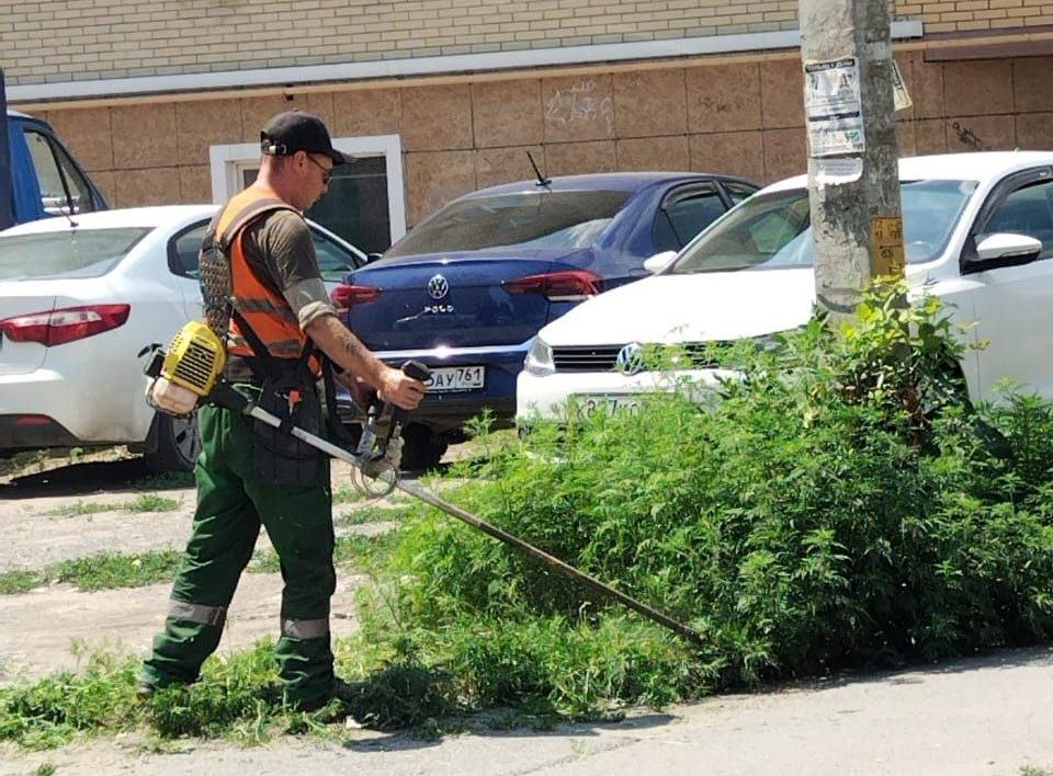 В Таганроге за неделю скосили траву на 100 тыс. кв. метров территории