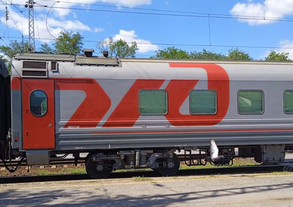 В Ростовской области 85-летнюю женщину насмерть сбил поезд