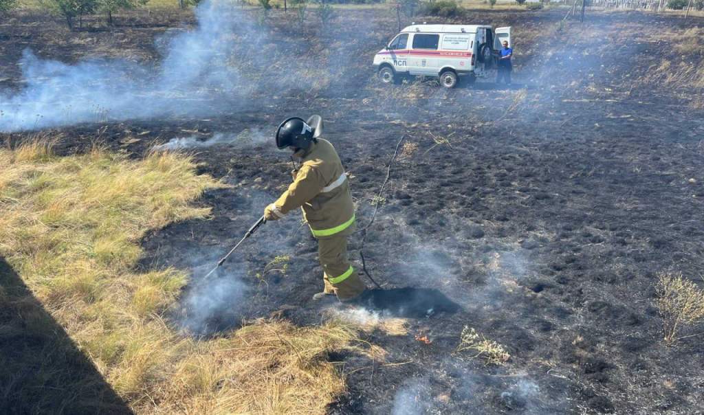 Крупный ландшафтный пожар потушили в Ростовской области