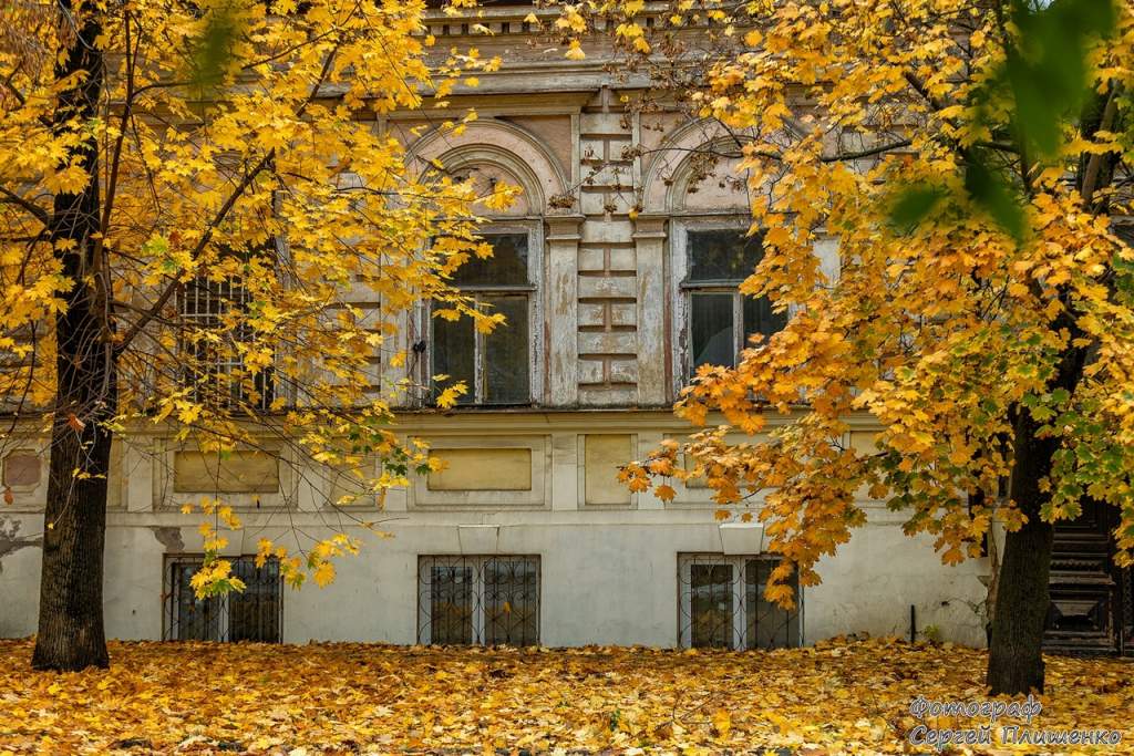 Погода в Таганроге 30 октября: теплый, ясный понедельник