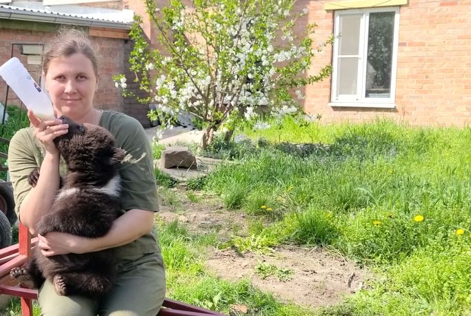 В Таганроге медвежонка Матвейку представили посетителям Живого уголка