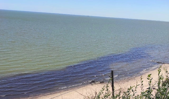 Росприроднадзор проверяет информацию о черной жидкости, попавшей в Таганрогский залив