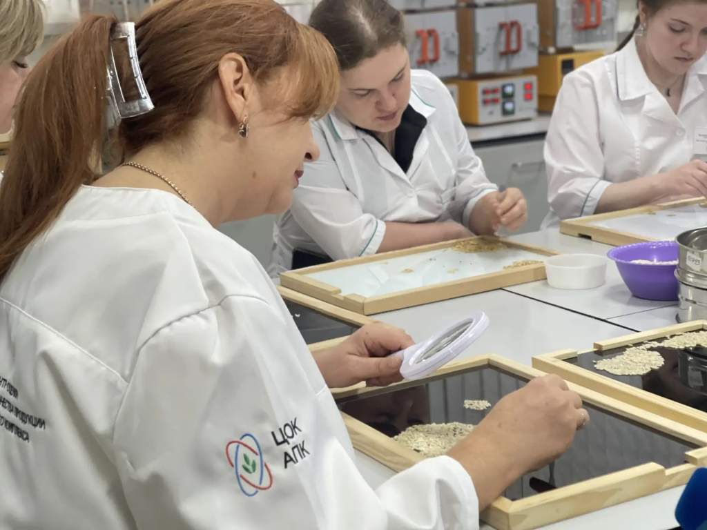 Донские эксперты проверили местный рис и рассказали, как правильно его выбирать, готовить и хранить